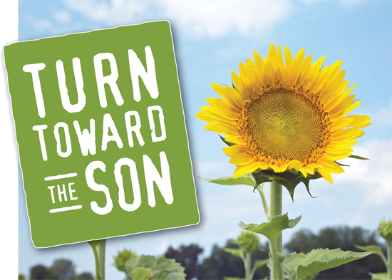 Turn Toward The Son