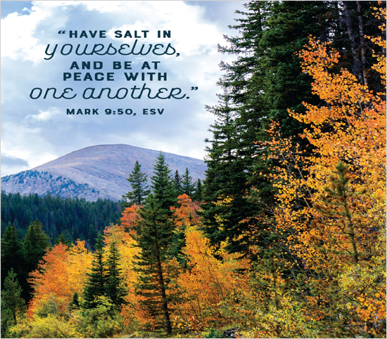 Mark 9:50, EVS